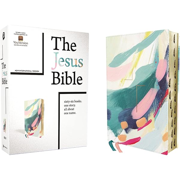 The Jesus Bible Artist Edition, NIV, Leathersoft, Multi-color/Teal